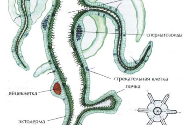 Кракен ссылка онион зеркало
