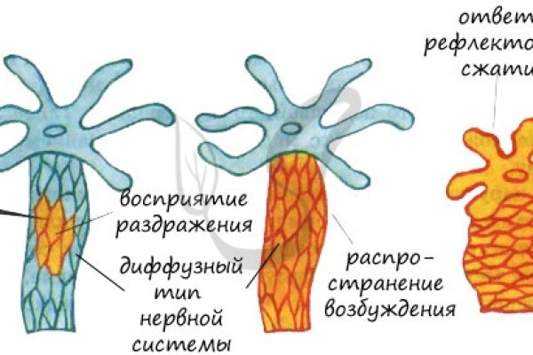 Кракен нарка шоп