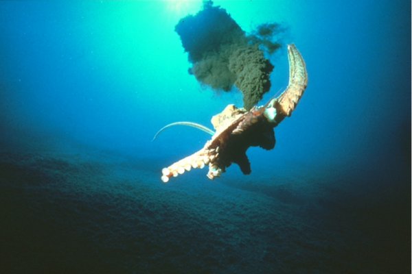 Kraken дарк магазин