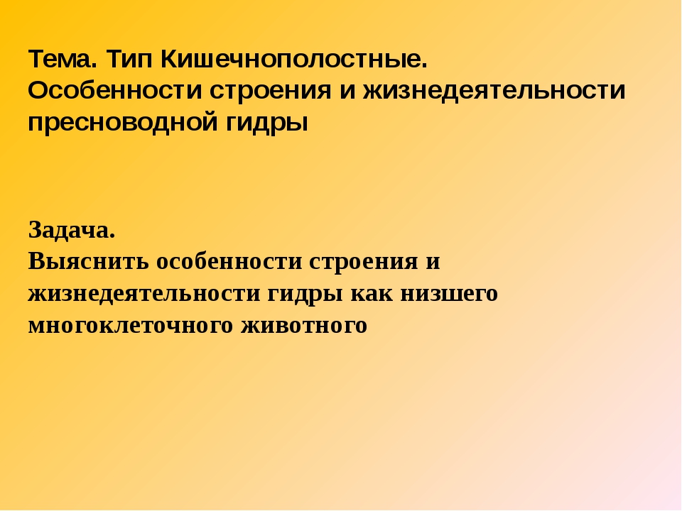 Кракен маркетплейс создатель