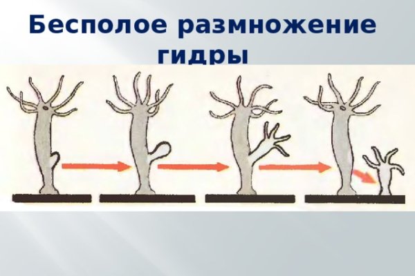 Кракен ссылка в тор