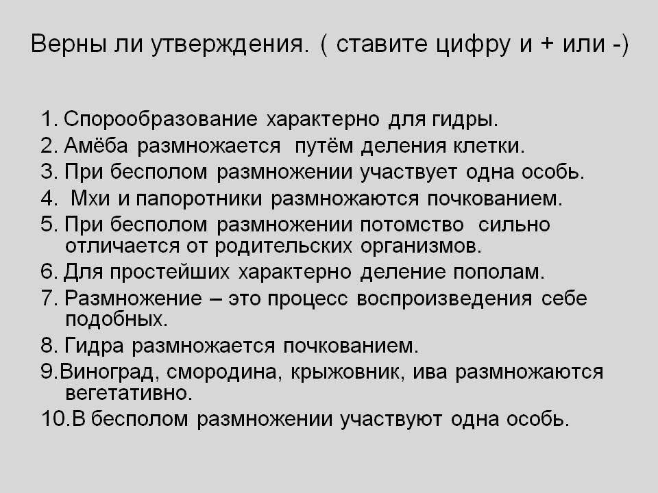 Не могу зайти на кракен