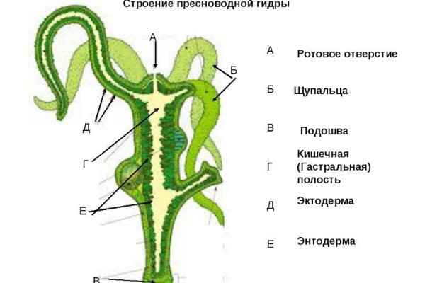 Регистрация на сайте кракен