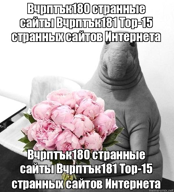 Mega darknet ссылка